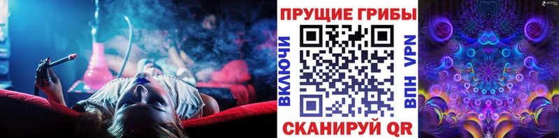 Галлюциногенные грибы прущие грибы  продажа наркотиков  Торжок 